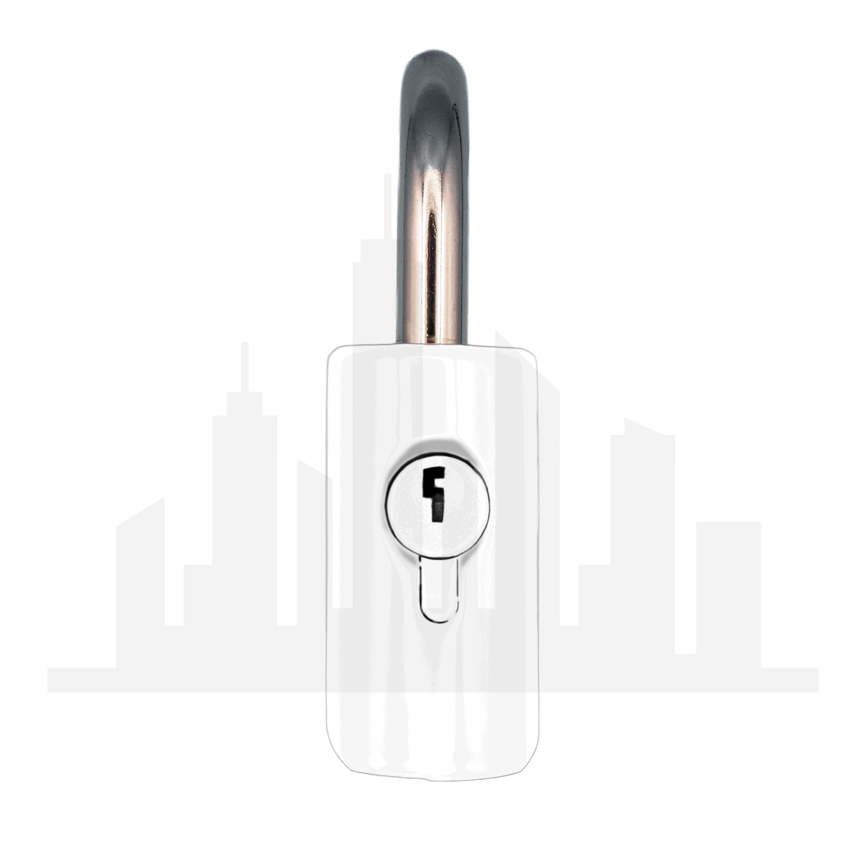 Master Lock 176 Powder Coated White Resettable Combination Brass Padlock