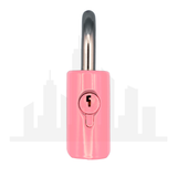 Master Lock 176 Powder Coated Bubblegum Resettable Combination Brass Padlock