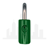 Master Lock 176 Powder Coated Green Resettable Combination Brass Padlock