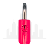 Master Lock 176 Powder Coated Neon Pink Resettable Combination Brass Padlock