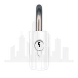 Master Lock 176 Powder Coated White Resettable Combination Brass Padlock